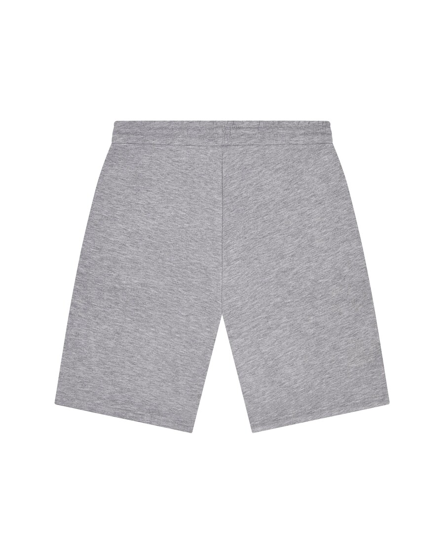 Trapstar Foundation Shorts - Grey
